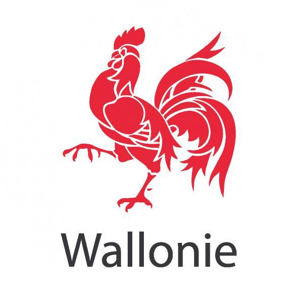 logo région wallonne